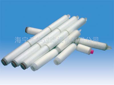 聚四氟乙烯折叠滤芯（PTFE）